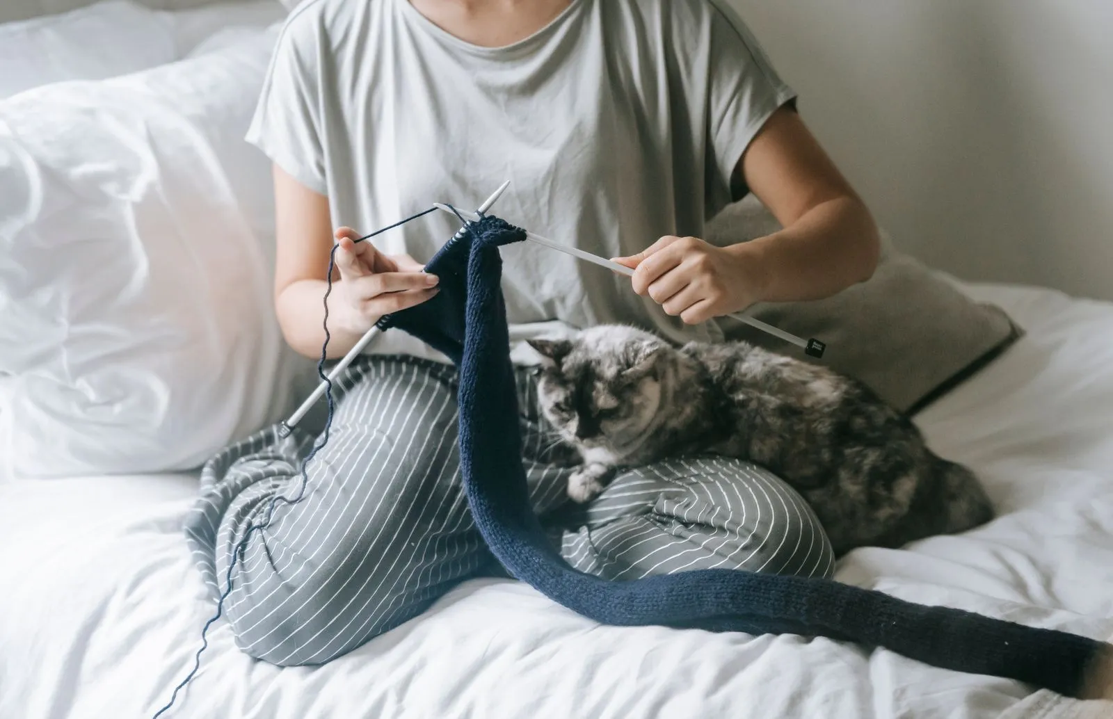From above of crop faceless lady relaxing on bed with lazy cat and knitting wool sweater during weekend at home